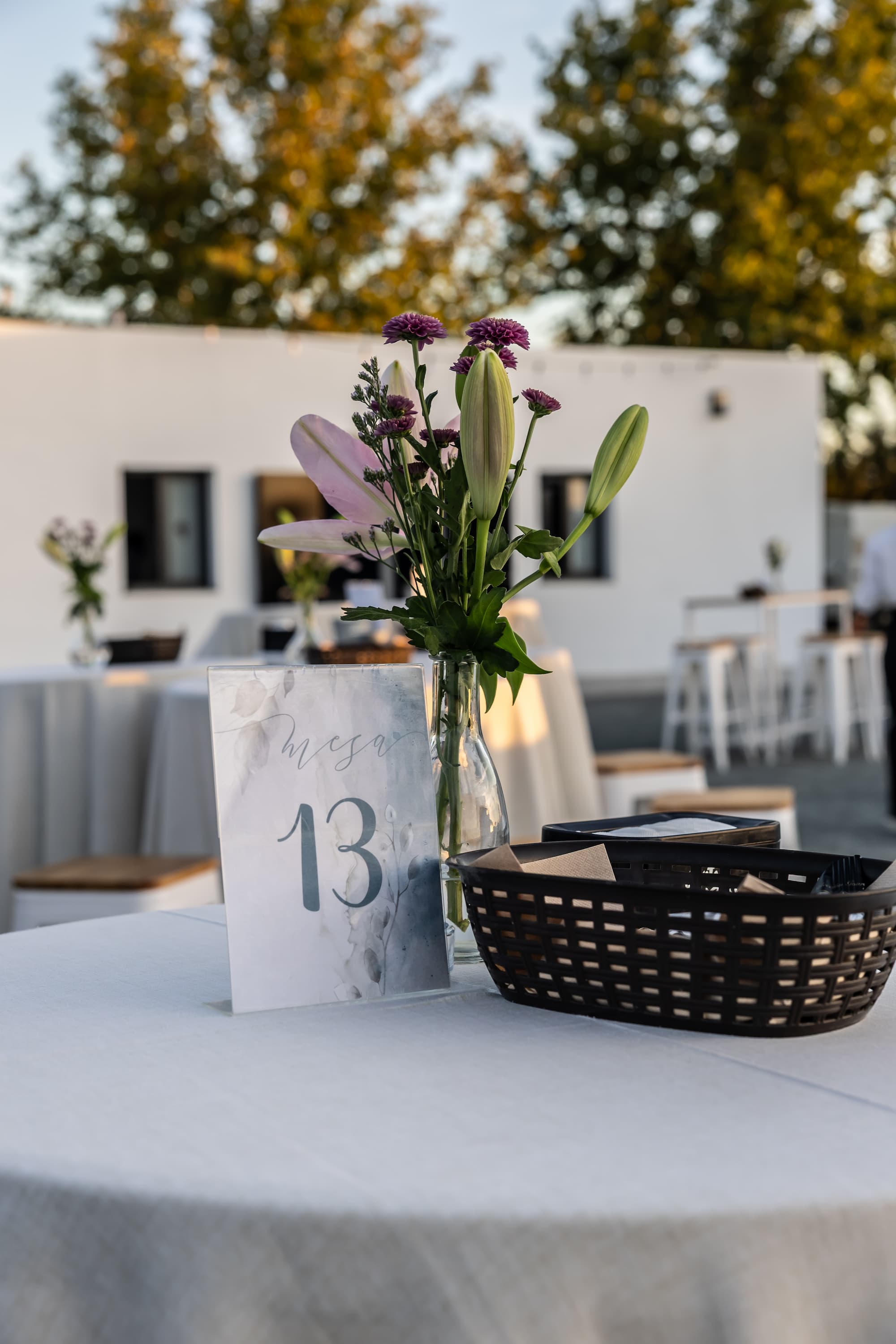 Finca El Giraldillo — imagen 6
